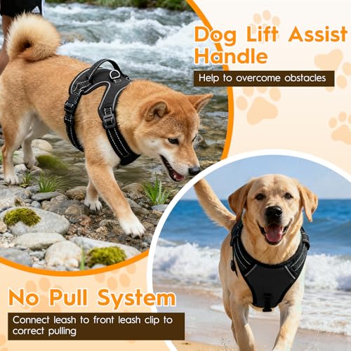 No Pull Dog Harness, No-Choke Soft Padded Reflective Dog Vest Harness with Front Clip & Top Handle, 2 Quick-Release Buckles, Adjustable for Small Medium Large Dogs - color: Black, size: X-Small