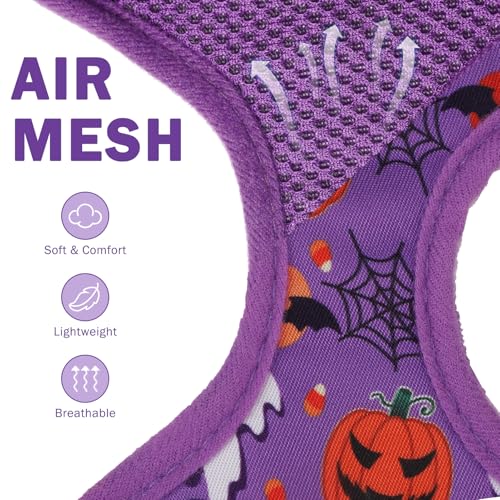 SCENEREAL Halloween Small Dog Harness and Leash Set - color: Purple-Halloween, size: XS: Chest Girth: 10"-14"