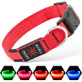 Illumifun Light Up Dog Collar, USB-C Rechargeable LED Dog Collar, Adjustable Safety Pet Lights for Night Walking (Red, Large) - color: Red, size: Large