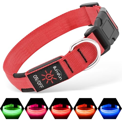 Illumifun Light Up Dog Collar - USB Rechargeable LED Dog Collar Glow in the Dark, Adjustable Pet Collar Light for Night Walking (Red, Medium) - color: Red, size: Medium