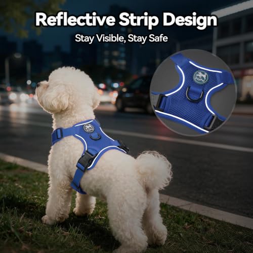 PoyPet Mesh Dog Harness, Reflective Breathable Puppy Vest for Small Dogs - color: Royal Blue, size: XS