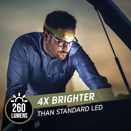 Energizer LED Headlamp PRO, IPX4 Water Resistant Head Light (Pack of 8) - color: Green/Orange, size: 8-Pack