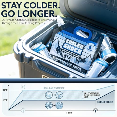 Cooler Shock Reusable Ice Packs for Cooler - Long Lasting Cold Freezer Packs for Coolers and Lunch Boxes - Cooler Ice Packs for Camping Gear, Fishing, Road Trips, Beach Must Haves - style: Small - With Handle - 5pk