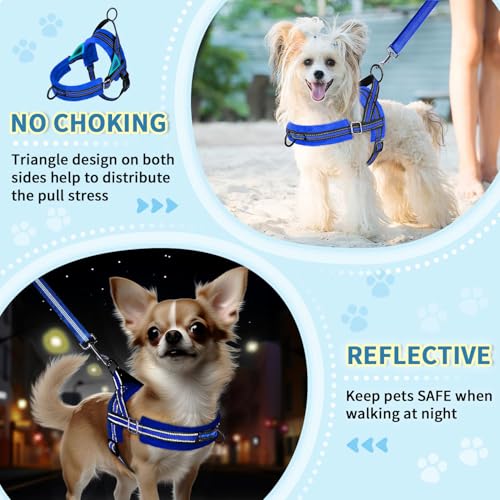 Lukovee Small Dog Harness and Leash Set, No Pull Soft Padded, 4ft Leash,XXS - color: Blue, size: XXS ( Chest 11.5'' ~ 15'')