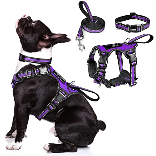 WINSEE Pet Harness Collar and Leash Set, All-in-one Reflective Dog Harness No Pull with Adjustable Buckles for Puppies, Small, Medium, Large, and Extra-Large Dogs (Medium, Purple) - color: Purple, size: Medium