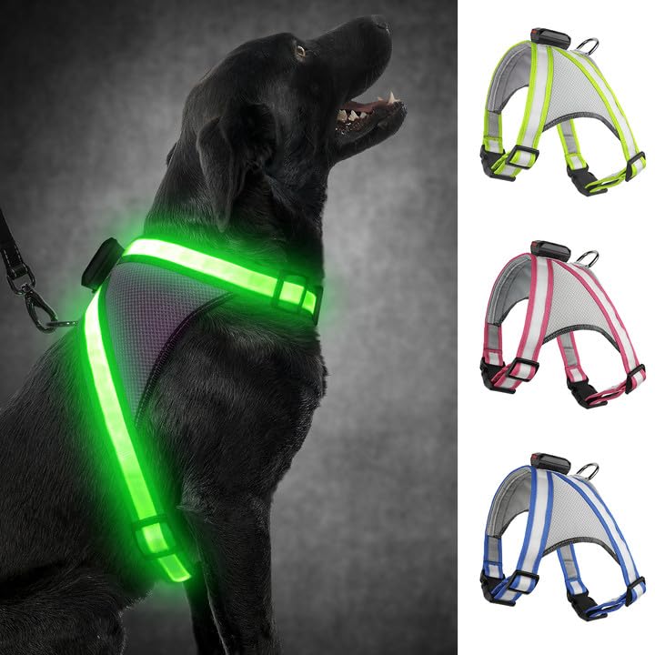 Visinite LED Dog Harness, USB Rechargeable Light Up Dog Vest, 2 Illuminate Modes Glow in The Dark Dog Harness, Adjustable Lighted Pet Harness Light for Night Walking Safety (Green, M) - color: Green, size: Medium