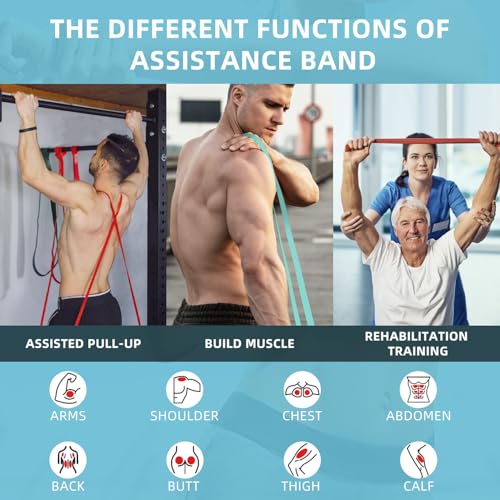 Resistance Bands, Pull Up Bands, Pull Up Assist Band Exercise Bands for Men & Women Working Out, Body Stretching, Physical Therapy, Muscle Training - color: Green