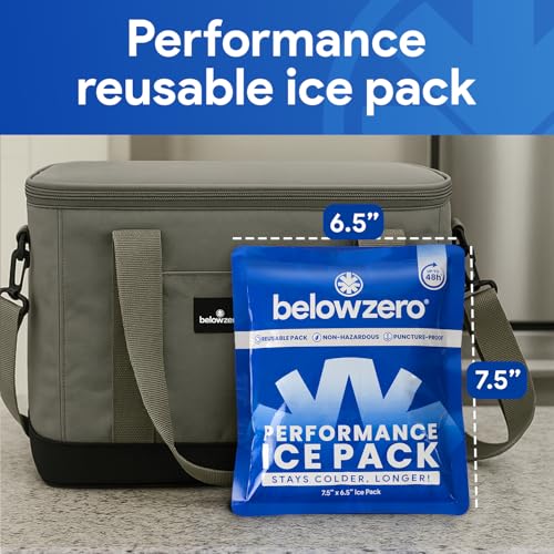 Below Zero Prefilled Reusable Ice Packs for Coolers | Long Lasting Freezer Ice Blocks for Camping, Lunch Bags & More | 48 Hour Cooler Ice Pack Technology - style: Small - 2pk (New Design)