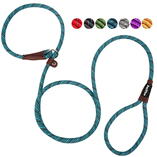 PetiFine Slip Lead Dog Leash Reflective, 6FT x 3/8" Heavy Duty Slip Leash - color: Blue, size: 3/8" x 6 FT