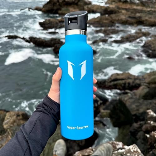 Sparrow Metal Water Bottle with Straw - Insulated Water Bottles Kids 500ml - color: Frost, size: 16.9 Ounces