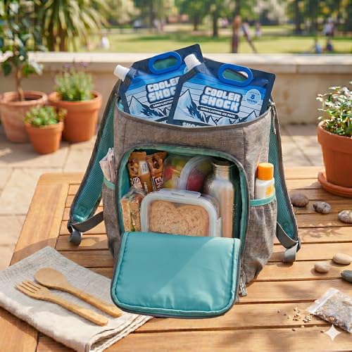 Cooler Shock Reusable Ice Packs for Cooler - Long Lasting Cold Freezer Packs for Coolers and Lunch Boxes - Cooler Ice Packs for Camping Gear, Fishing, Road Trips, Beach Must Haves - style: Small - With Handle - 5pk