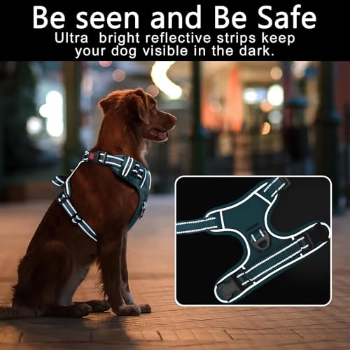 HEELE Dog Harness, Neck Release, No Pull Front Clip Vest, Blackish Green, S - color: Lock Blackish Green, size: S (Pack of 1)