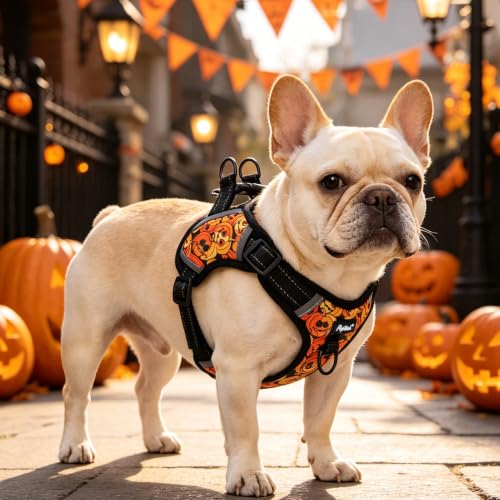 PUPTECK Halloween Dog Harness Small Sized Dog, Step in Adjustable Reflective Dog Vest Harness Escape Proof, No Pull Soft Padded Harness Easy Control, Black S - color: Black(Halloween), size: S (CHEST: 13"-18")