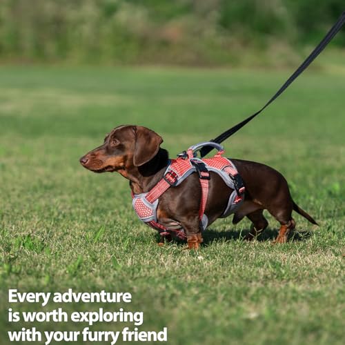 Huntboo Escape Proof Dog Harness, Dachshund Harness, Reflective Dog Harness with Handle, Durable,Adjustable Vest for Small Medium Large Dogs Walking, Training, and Running Gear (Red,S) - color: Red, size: Small(Pack of 1)