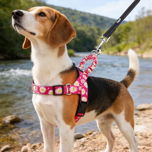 PUPTECK No Pull Dog Harness Small Sized Dog, Adjustable Reflective Pet Vest Harness with Bungee Handle, Escape Proof No Choke Harness for Small Dogs Walking Training, Fuschia Daisy S - color: Fuschia, size: S (NECK: 15"-17.5", CHEST: 18.5"-24")