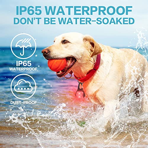 BLBS Rechargeable Dog Collar Light -3 Modes Dog Light, IP65 Waterproof Dog Walking Light, 50LM Dog Lights for Night Walking, Running, Camping, Climbing, Bike, 2 Pack - color: White