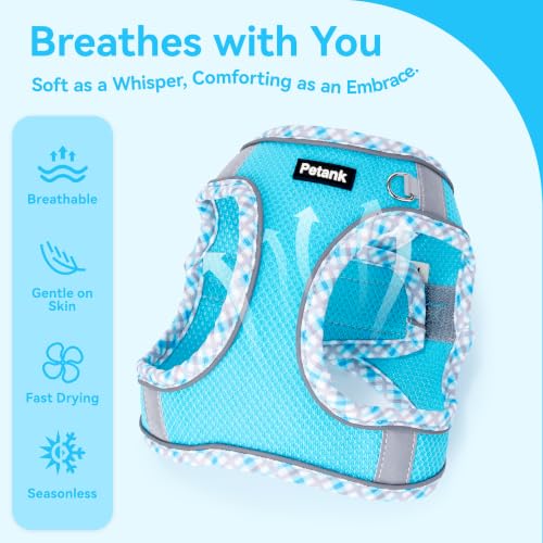 Petank Step in Dog Harness No Pull and Leash for Small Medium Dogs Cats. - color: Bule, size: XXS