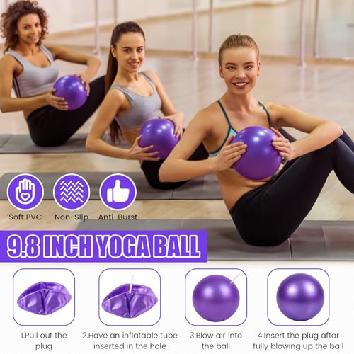 9 Inch Bulk Pilates Balls Resistance Bands Set - color: Purple