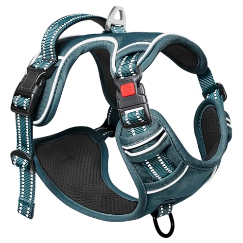 HEELE Dog Harness, Neck Release, No Pull Front Clip Vest, Blackish Green, S - color: Lock Blackish Green, size: S (Pack of 1)