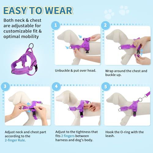 Lukovee Small Dog Harness and Leash Set, No Pull Soft Padded, 4ft Leash,XXS - color: A-Purple, size: XXS ( Chest 11.5'' ~ 15'')