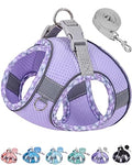 Petank Step in Dog Harness No Pull and Leash for Small Medium Dogs Cats. - color: Purple, size: XXS