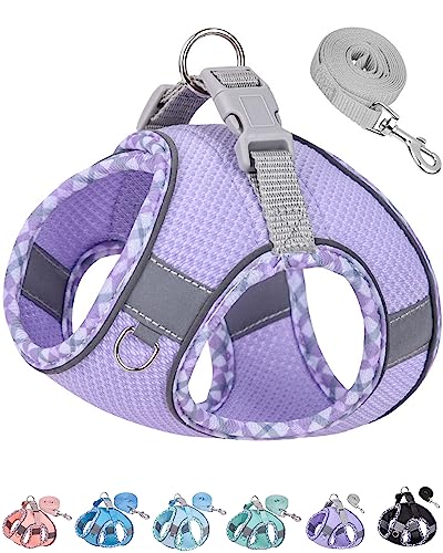 Petank Step in Dog Harness No Pull and Leash for Small Medium Dogs Cats. - color: Purple, size: XXS