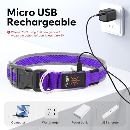Flashseen LED Light Up Dog Collar, USB Rechargeable, Purple, M - color: Purple, size: Medium