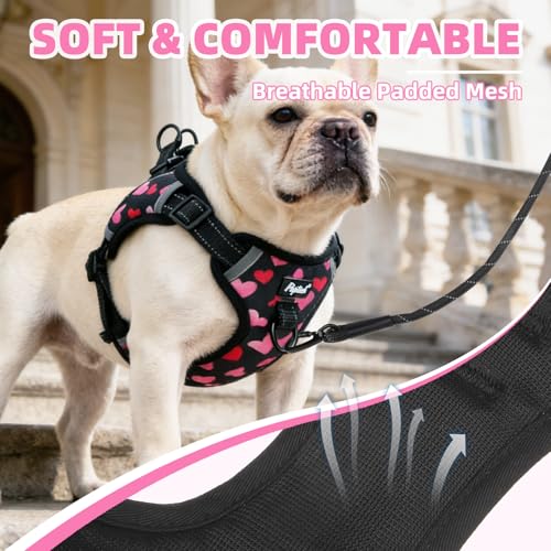PUPTECK Dog Harness Small Sized Dog, Step in Adjustable Reflective Dog Vest Harness Escape Proof, No Pull Soft Padded Harness Easy Control, Heart, M - color: Black(Heart), size: M (CHEST: 14.5"-20")