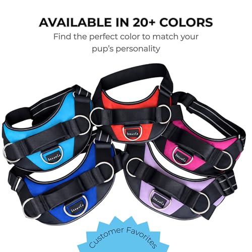 ShawnCo Essential Dog Harness, No-Pull Pet Vest (Oceanic Blue,M) - color: Oceanic Blue, size: Medium