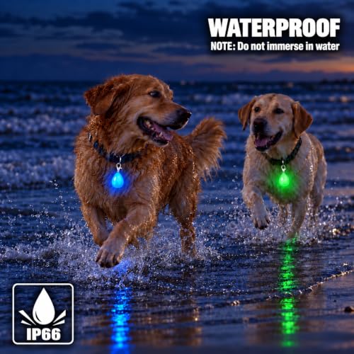 Novkin Rechargeable LED Dog Collar Lights, Waterproof with 3 Modes - For Running, Climbing, Camping - color: Blue&Green
