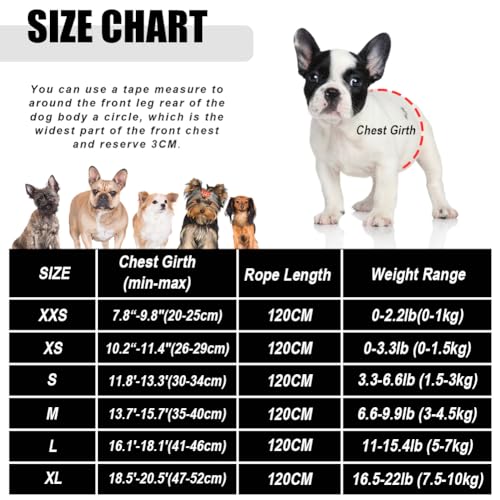 FEimaX Dog Harness and Leash Set for Walking, Soft Mesh Adjustable Easy Control Lightweight Cat Vest Harnesses with Reflective Strips, Escape Proof Small Dogs Cats Vests (Black, Medium) - color: Black, size: Medium
