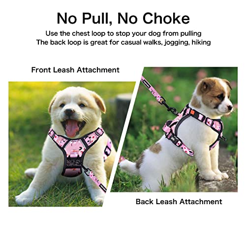 Petmolico No Pull Dog Harness and Leash Set with 4 Clips, Pink Plum, Medium - color: Pink Plum, size: Medium