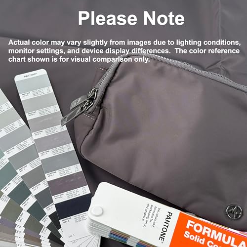 Pander Belt Bag Large 2L, Nylon Fanny Pack Purse for Women and Men with Adjustable Strap - color: Dim Grey