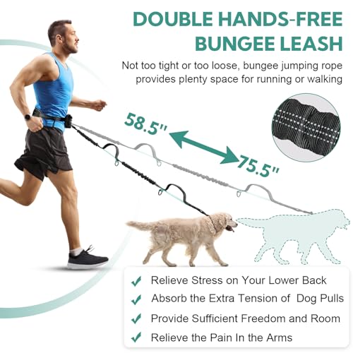Hands Free Dog Leash for Two Dogs Walking, Running - color: Black/Mint Green, size: Large