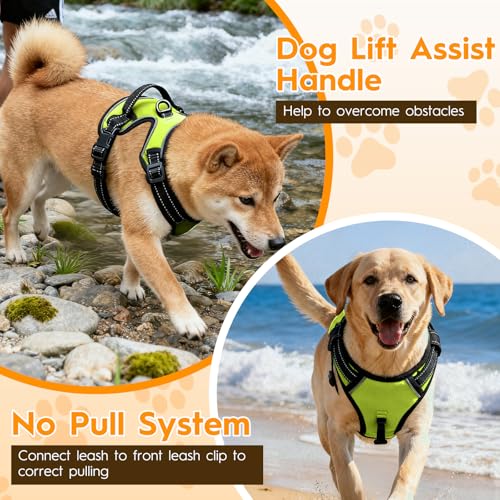 No Pull Dog Harness, No-Choke Soft Padded Reflective Dog Vest Harness with Front Clip & Top Handle, 2 Quick-Release Buckles, Adjustable for Small Medium Large Dogs - color: Velvet Green, size: X-Small