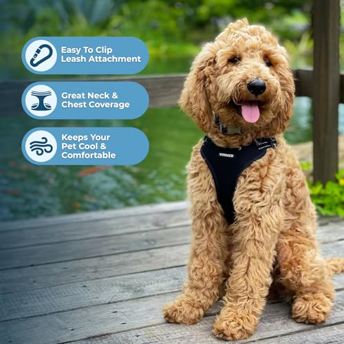 Voyager Step-in Flex Adjustable Dog Harness - Black, Medium - color: Harness (Black), size: M