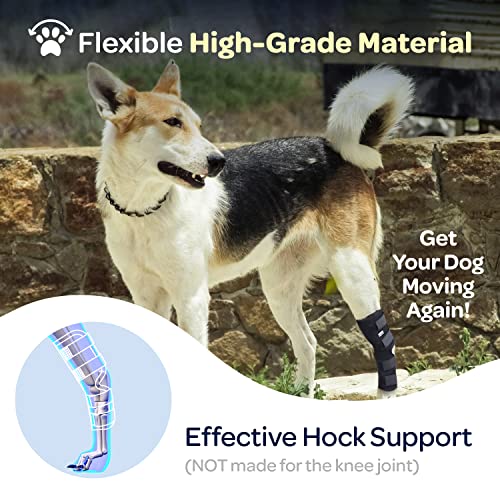 Labra Dog Rear Leg Hock Joint Compression Wrap - Supportive Brace for Weak Back Legs, ACL Tear, and Joint Discomfort - Adjustable Hind Leg Support for Senior Dogs - Small - size: Small