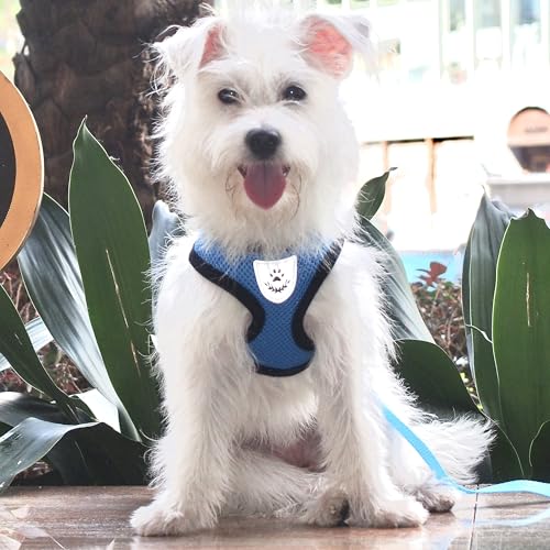 Hypeety Dog Vest Harness No-Pull Reflective Step-in Air Mesh Vest, Blue, S - color: Blue, size: S