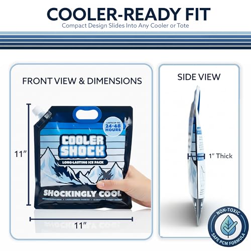 Cooler Shock Reusable Ice Packs for Cooler - Long Lasting Cold Freezer Packs for Coolers and Lunch Boxes - Cooler Ice Packs for Camping Gear, Fishing, Road Trips, Beach Must Haves - style: Medium - With Handle - 4pk