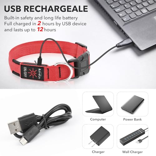 Illumifun Light Up Dog Collar - USB Rechargeable LED Dog Collar Glow in the Dark, Adjustable Pet Collar Light for Night Walking (Red, Medium) - color: Red, size: Medium