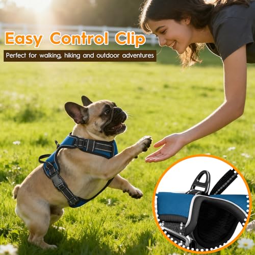 No Pull Dog Harness, No-Choke Soft Padded Reflective Dog Vest Harness with Front Clip & Top Handle, 2 Quick-Release Buckles, Adjustable for Small Medium Large Dogs - color: Blue, size: X-Small