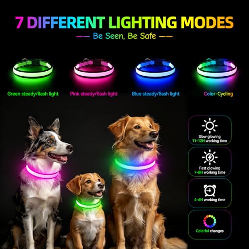 Flashseen Multicolor LED Light Up Dog Collar, RGB 9-Mode, USB Rechargable - color: White, size: Small