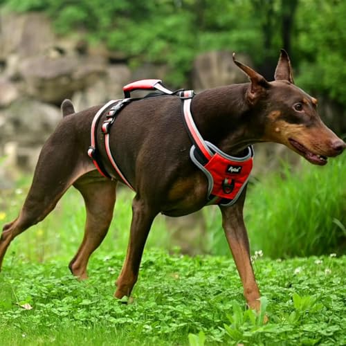 PUPTECK Escape Proof Dog Harness with Padded Handle, No Pull Pet Vest Harness Durable Reflective for Medium Large Dogs Walking Training and Running, Red, M - color: Red, size: Medium
