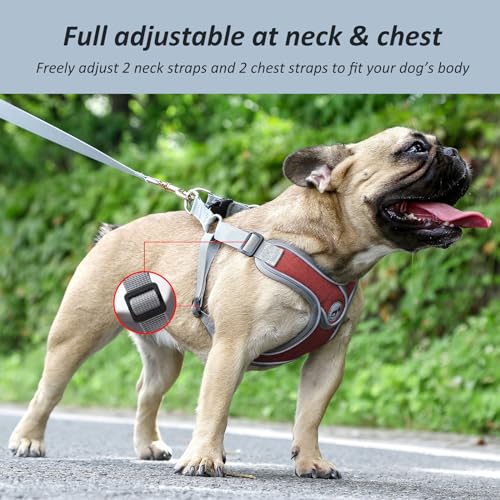 Dog Harness with Leash Set, No Pull Adjustable Step in Pet Vest - color: Red, size: Medium