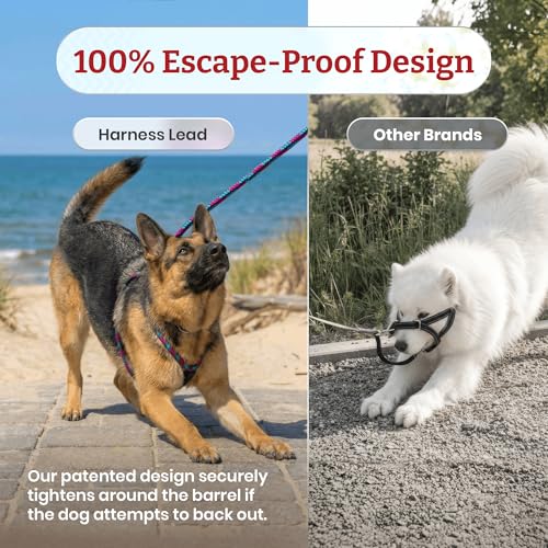 Harness Lead No Pull Dog Harness and Leash Set, Anti Pull Dog Harness, One-Piece Cushioned Rope Safely Prevents Escaping and Pulling (Medium/Large, Rainforest) - color: Rainforest (Olive/Lime/Turquoise)