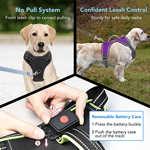 Light Up Dog Harness, Rechargeable LED Dog Vest for Night Walking - color: Purple-Pink, size: XS