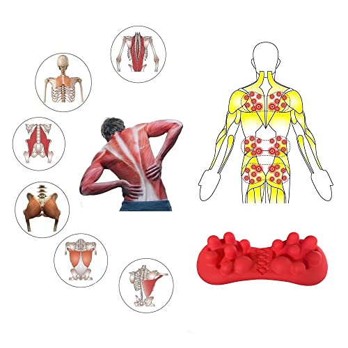 LittleMum Back Trigger Point Massager for Lumbar, QL, Glutes & Piriformis