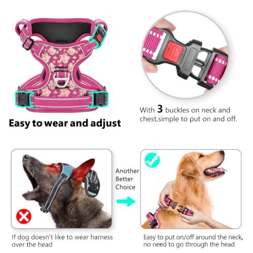 HEELE Dog Harness, No Pull, No Choke Vest, Easy On & Off, Flower Rose, S - color: Flower Rose, size: S (Pack of 1)