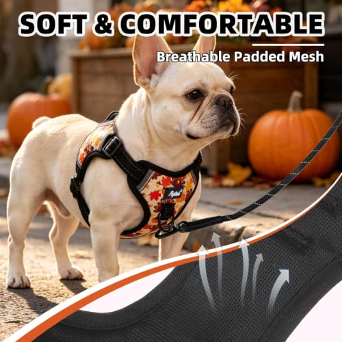 PUPTECK Fall Thanksgiving Dog Harness Small Sized Dog, Step in Adjustable Reflective Dog Vest Harness Escape Proof, No Pull Soft Padded Harness Easy Control, Yellow, M - color: Yellow(Turkey), size: M (CHEST: 14.5"-20")