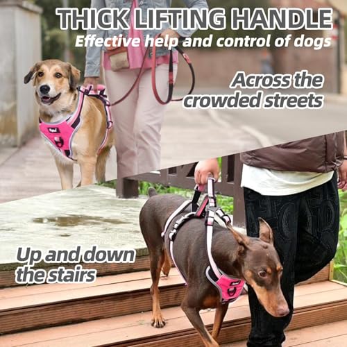 PUPTECK Escape Proof Dog Harness with Padded Handle, No Pull Pet Vest Harness Durable Reflective for Medium Large Dogs Walking Training and Running, Pink, M - color: Pink, size: Medium